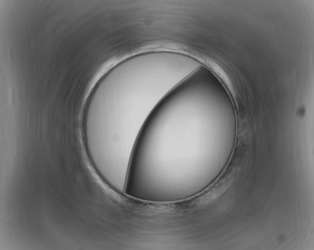 X0000097460997200802220802