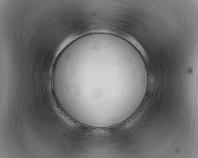 X0000097461002200802220802