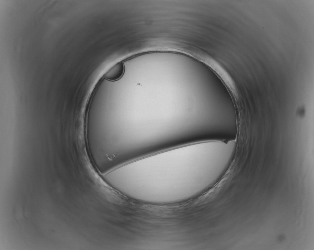 X0000097461004200802220802