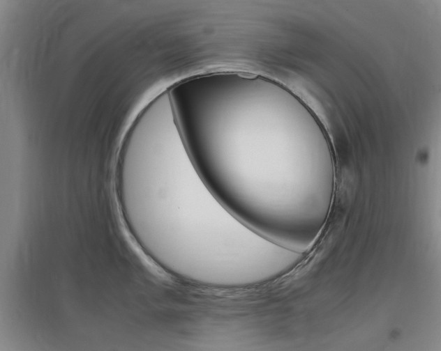 X0000097461005200802220802
