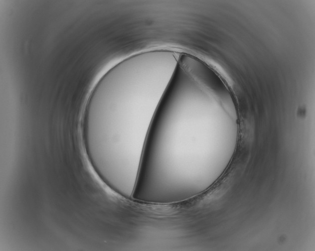 X0000097461007200802220802