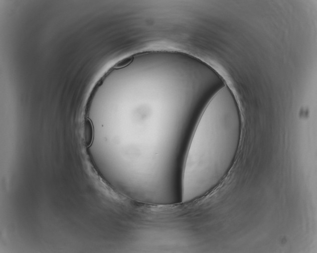 X0000097461008200802220802