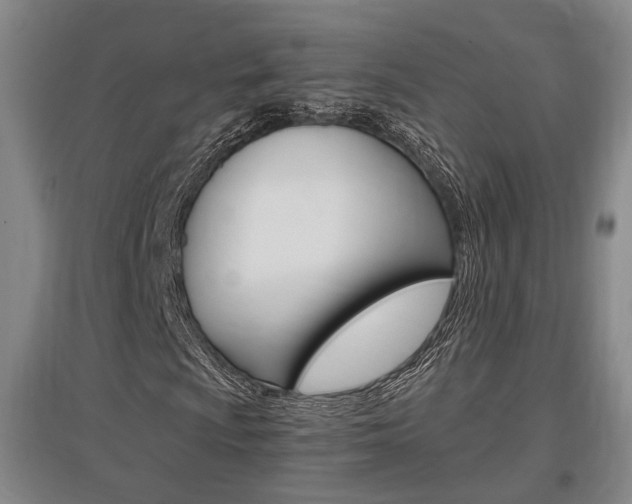 X0000097461009200802220802