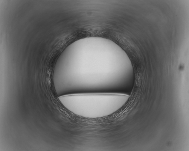 X0000097461010200802220802