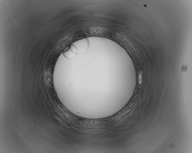 X0000097461011200802220802