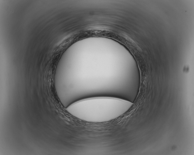 X0000097461014200802220802
