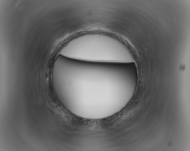 X0000097461016200802220802