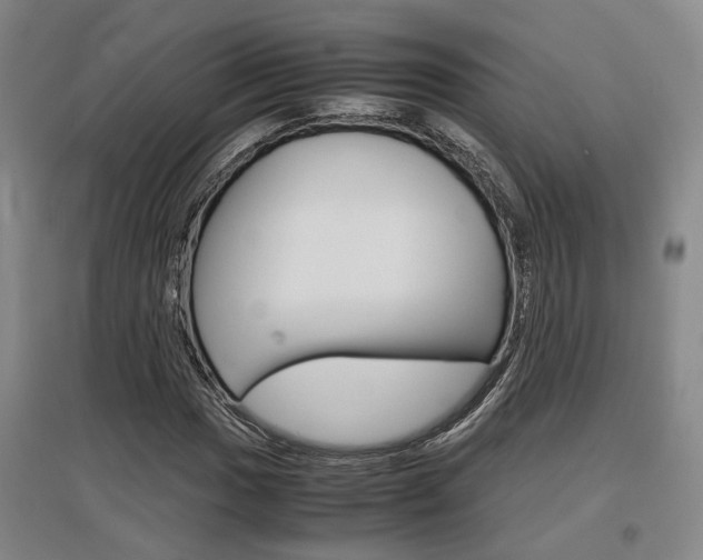 X0000097461017200802220802