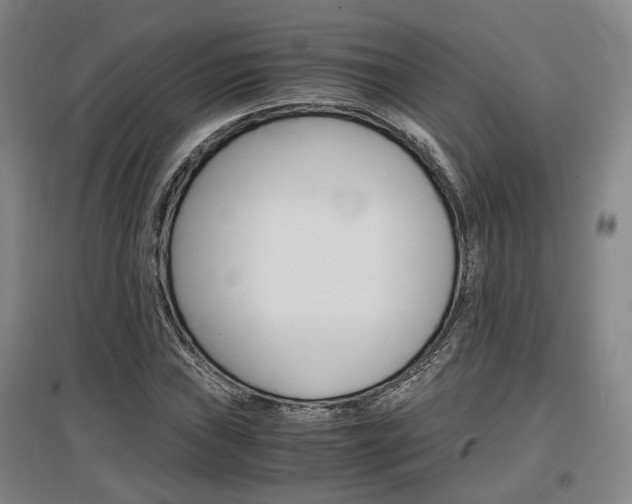 X0000097461019200802220802