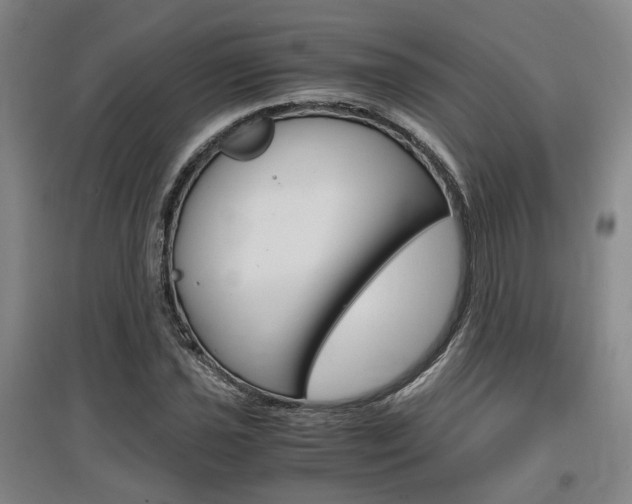 X0000097461021200802220802