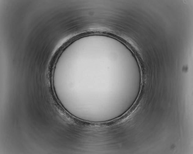X0000097461022200802220802
