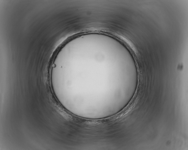 X0000097461023200802220802