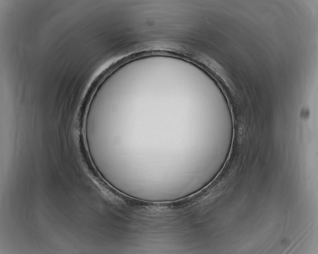 X0000097461024200802220802