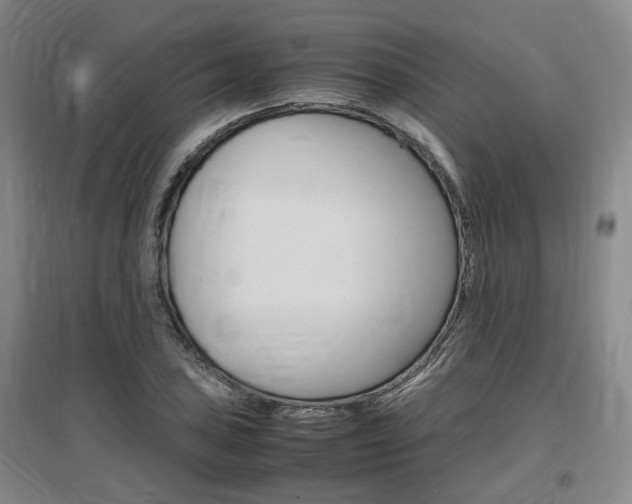 X0000097461027200802220802