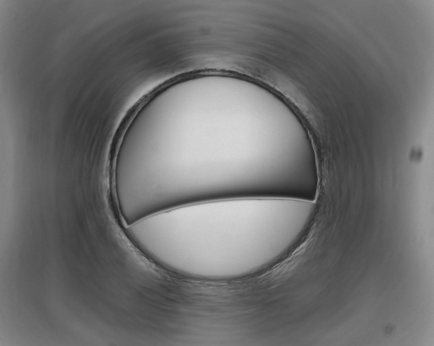 X0000097461028200802220802