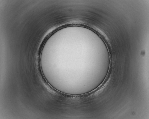 X0000097461029200802220802
