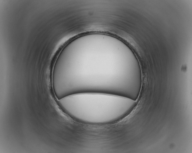 X0000097461030200802220802
