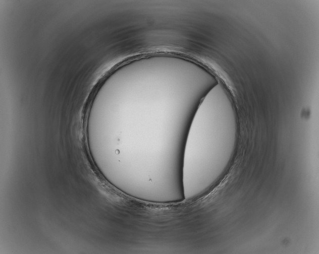 X0000097461031200802220802