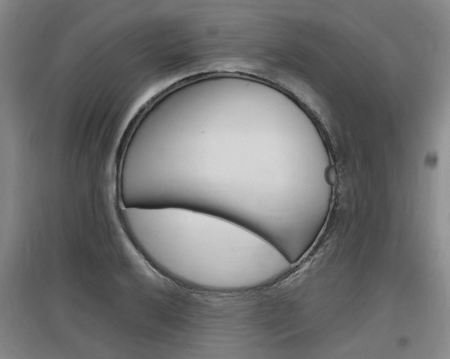 X0000097461032200802220802