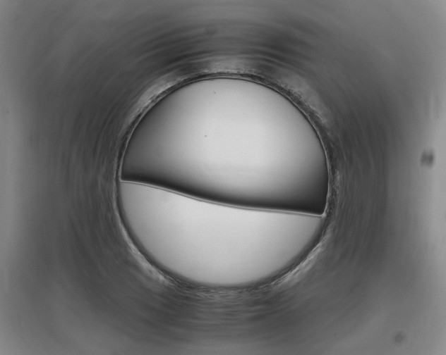 X0000097461033200802220802