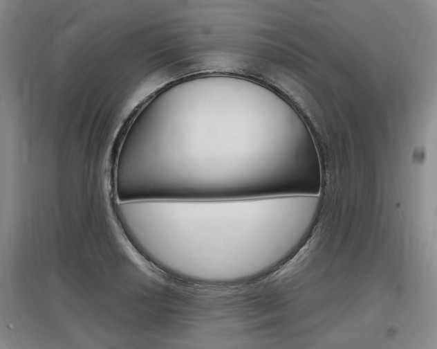 X0000097461034200802220802