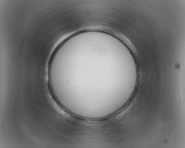 X0000097461036200802220802