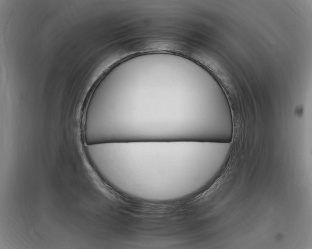 X0000097461039200802220802
