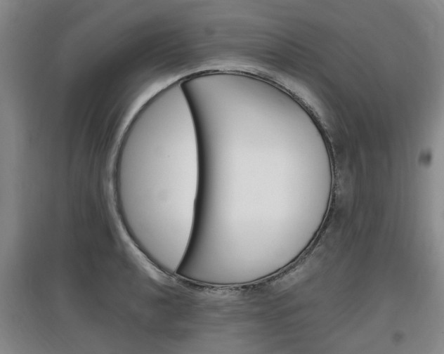 X0000097461040200802220802