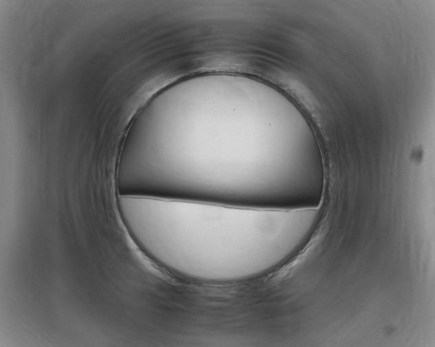 X0000097461041200802220802