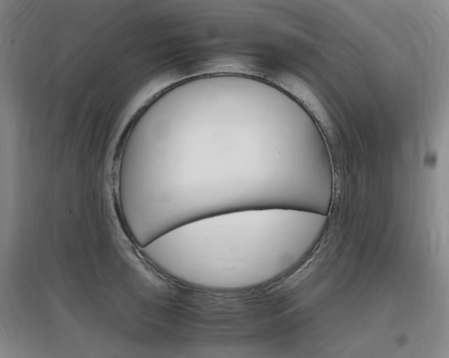 X0000097461043200802220802