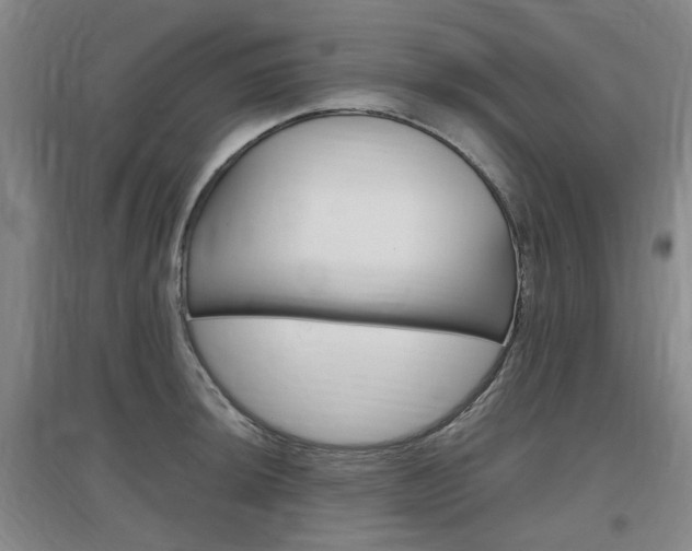 X0000097461044200802220802