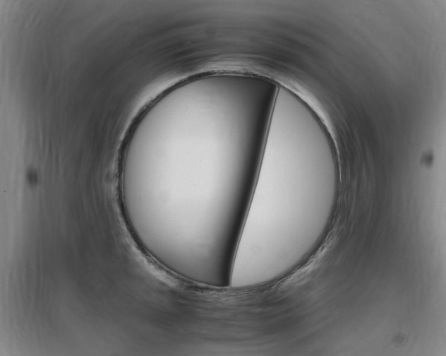 X0000097461045200802220802