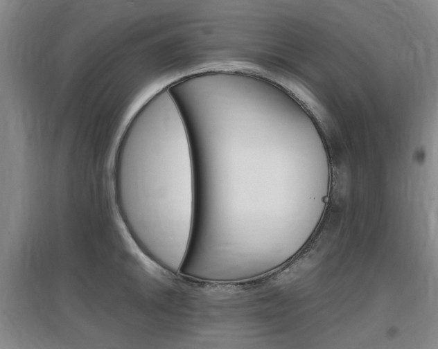 X0000097461046200802220802