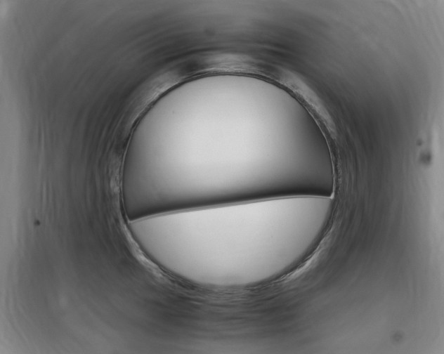 X0000097461049200802220802