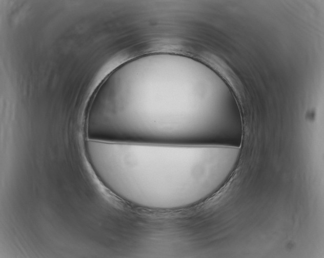 X0000097461050200802220802