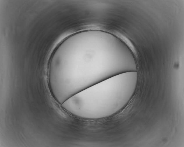 X0000097461051200802220802