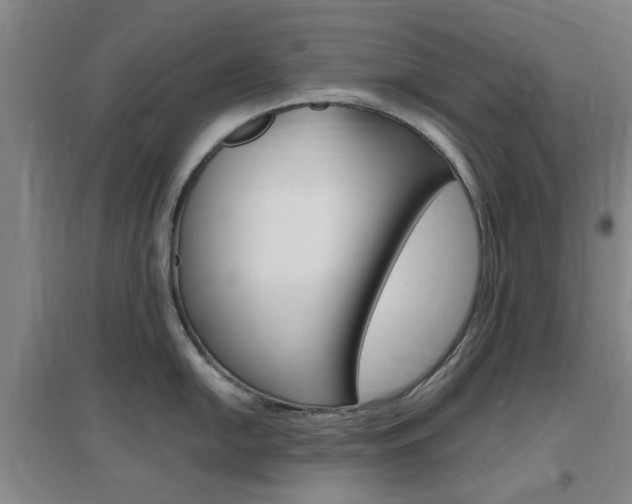 X0000097461054200802220802