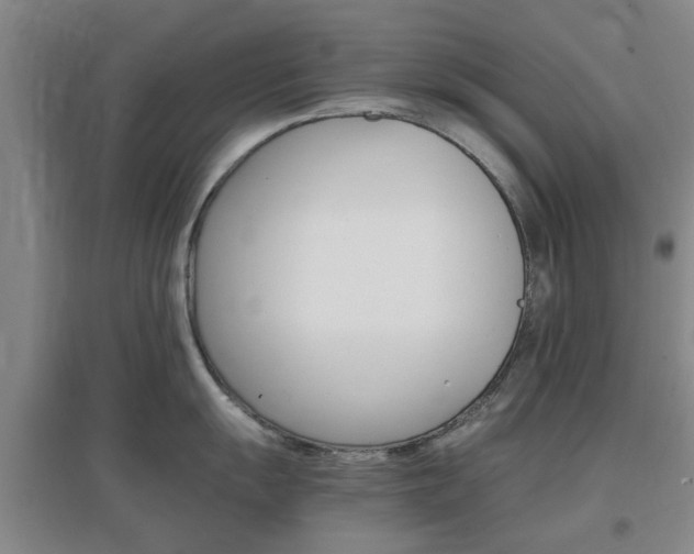 X0000097461055200802220802