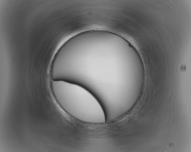 X0000097461056200802220802