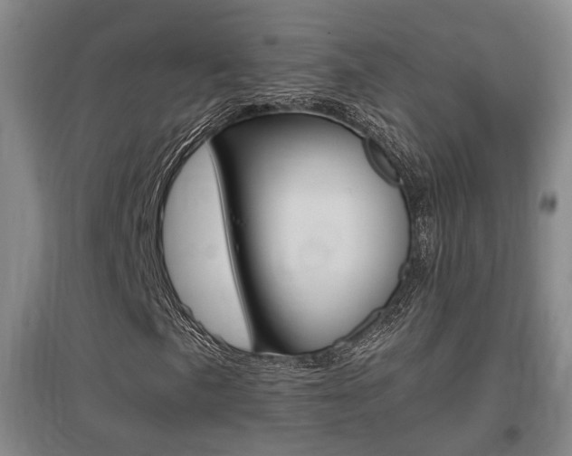 X0000097461057200802220802