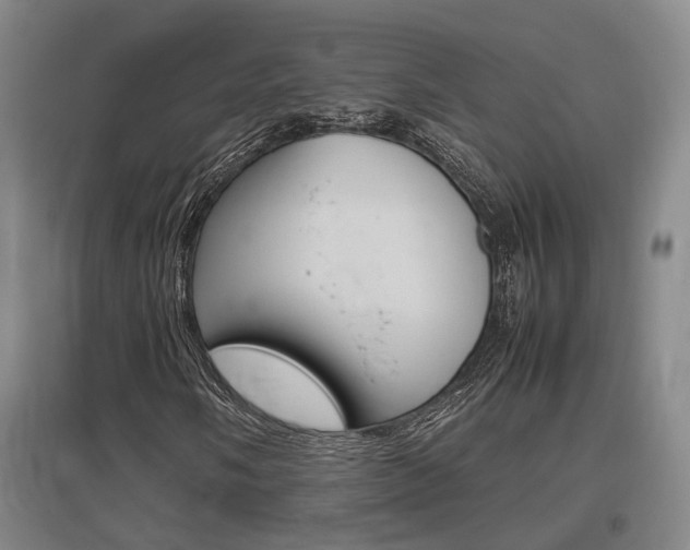 X0000097461058200802220802
