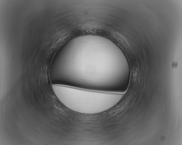 X0000097461060200802220802