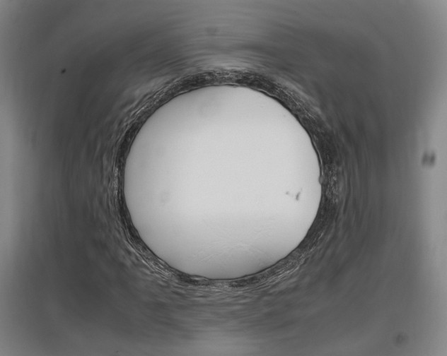 X0000097461061200802220802