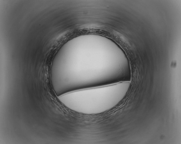 X0000097461062200802220802
