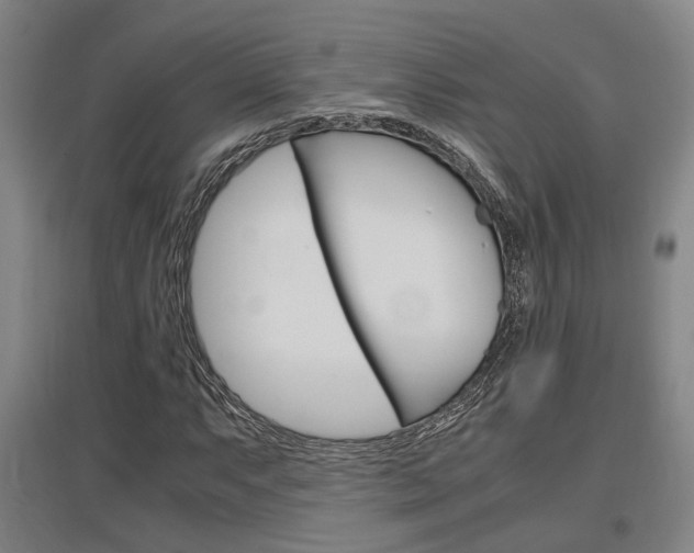 X0000097461063200802220802
