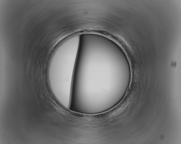 X0000097461065200802220802