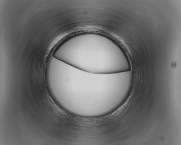 X0000097461066200802220801