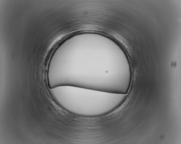 X0000097461067200802220801