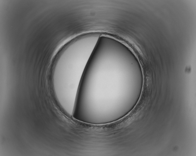 X0000097461069200802220801