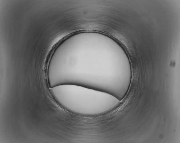 X0000097461071200802220801